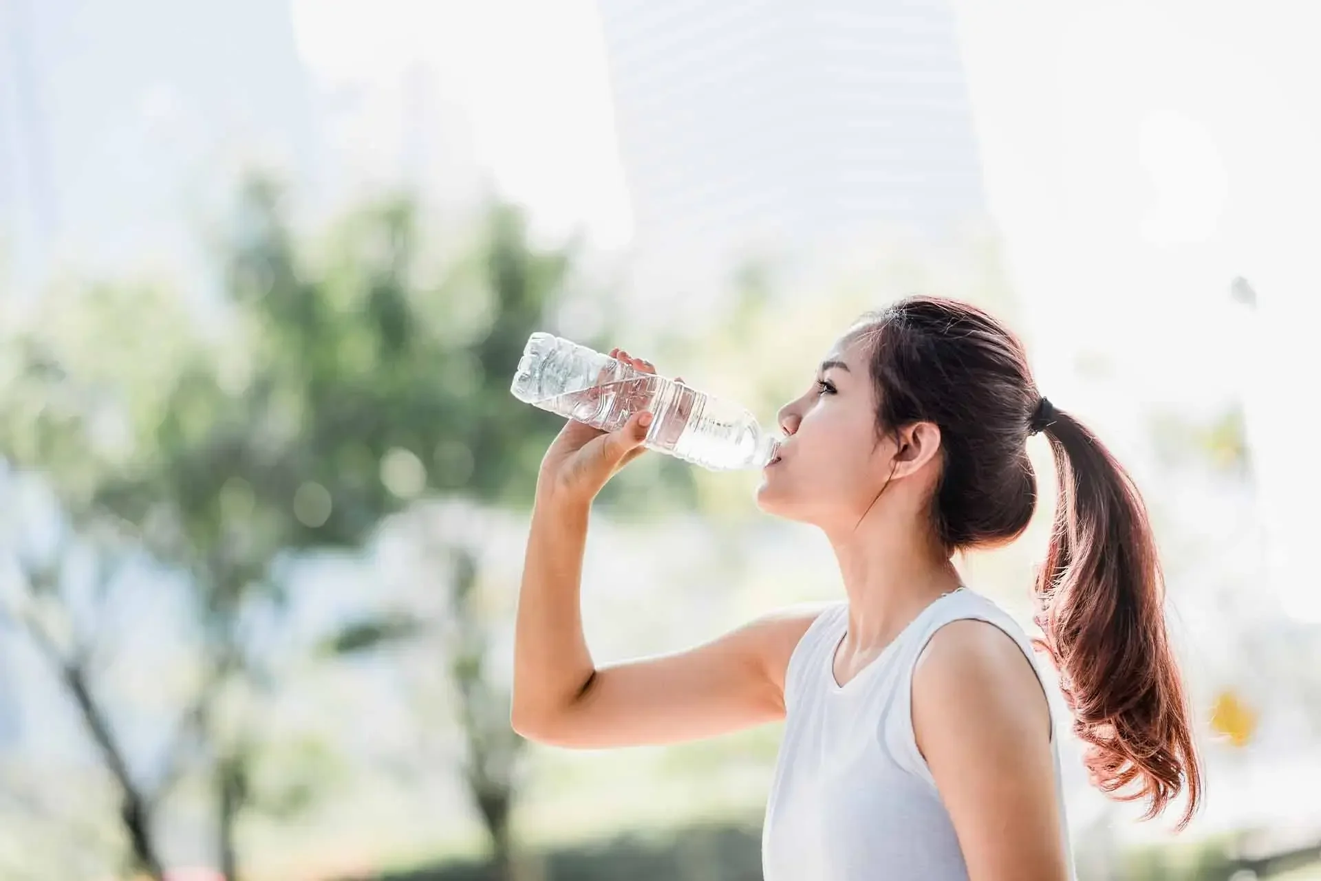 Sip, Sip, Hooray!